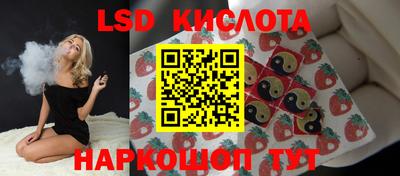 гашик Краснознаменск