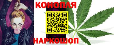 гашик Краснознаменск