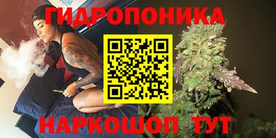 СК Краснокаменск