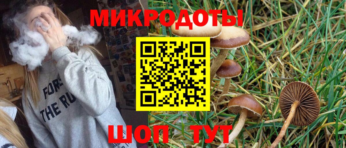 Псилоцибиновые грибы Psilocybe Королёв