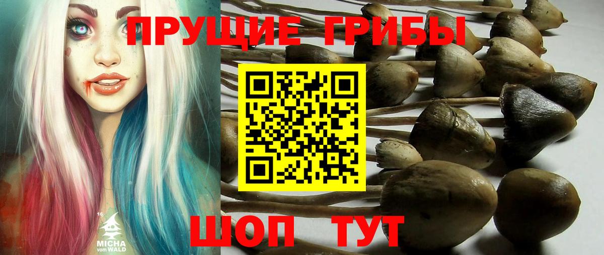 Галлюциногенные грибы Magic Shrooms  Вход с VPN  Галлюциногенные грибы прущие грибы  Королёв 